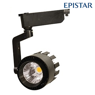 FL-2233 S - 25 Watt Siyah Kasa EPISTAR Ray Spot