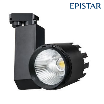 FL-2235 S - 30 Watt Siyah Kasa EPISTAR Ray Spot