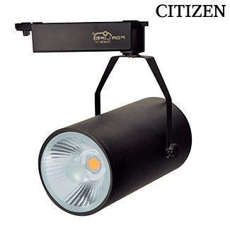 CITIZEN FL-2238 S - 40 Watt Siyah Kasa Ray Spot