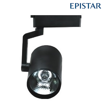 FL-2242 S - 30 Watt Siyah Kasa EPISTAR Ray Spot