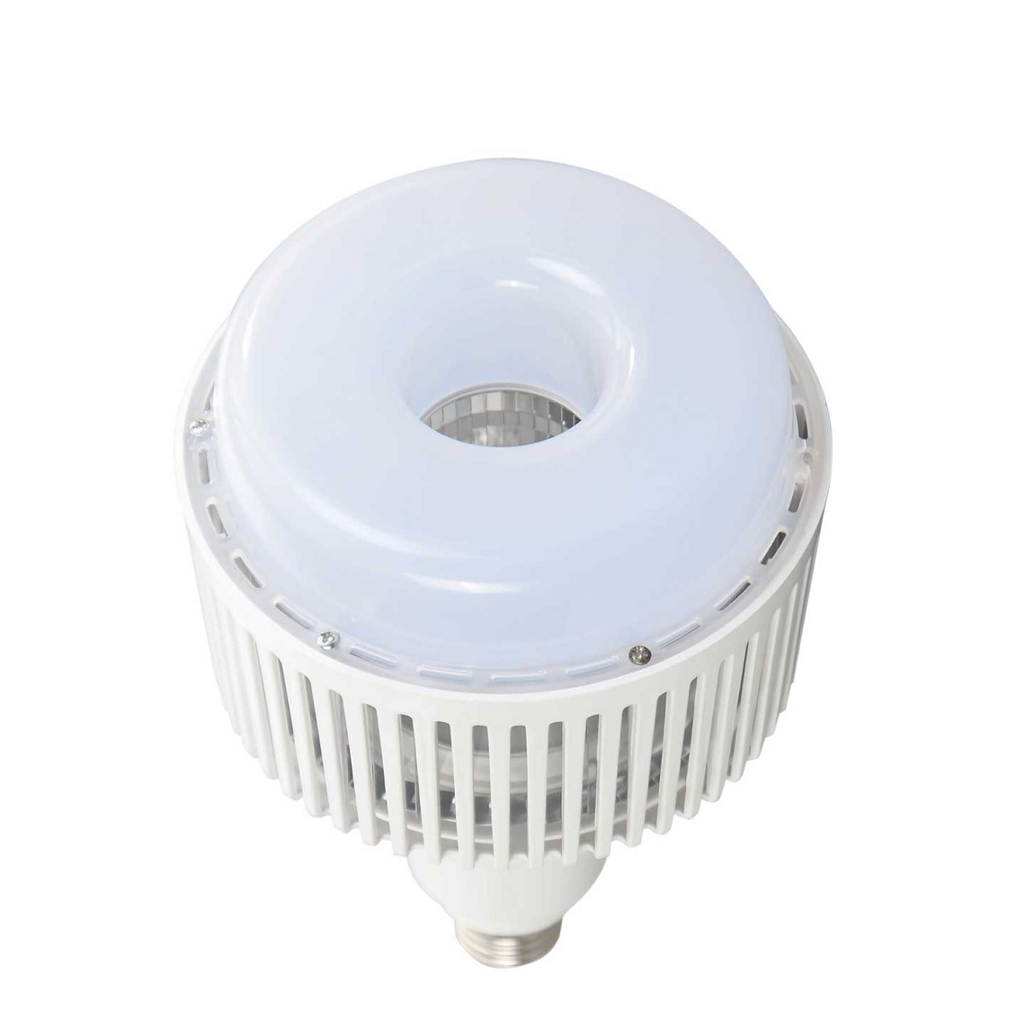 FORLIFE FL-6049 - 80 Watt LED Torch Ampul