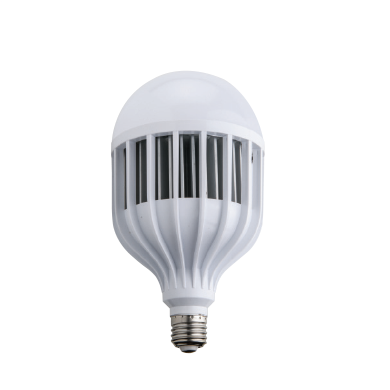 FORLIFE FL-E-1105 - 100 Watt LED Torch Ampul