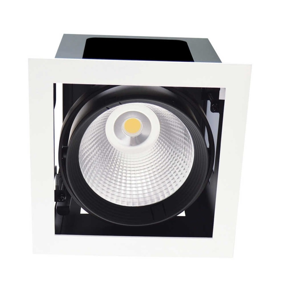 JUPITER LD433 S - 30 Watt Hareketli Mağaza Spotu