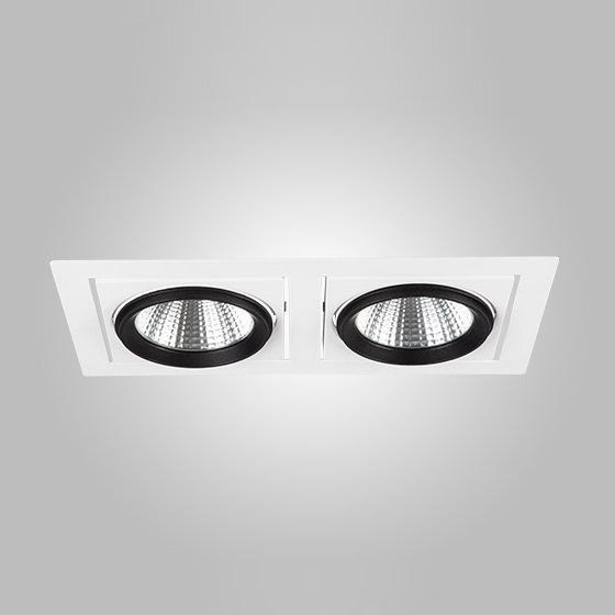 LEDwork LW-TML 131-2 - İkili Hareketli Mağaza Spotu Kasası