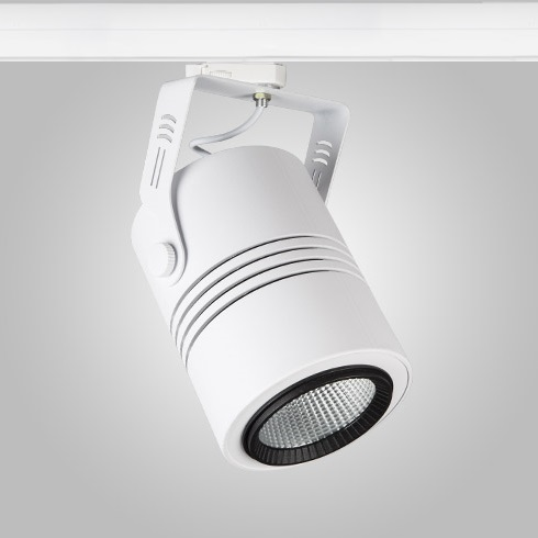 LEDwork LW-TRL 407 - Ray Spot Kasası