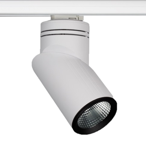 LEDwork LW-TRL 413 - Ray Spot Kasası