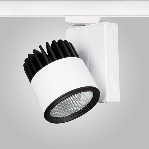 LEDwork LW-TRL 419 - Ray Spot Kasası
