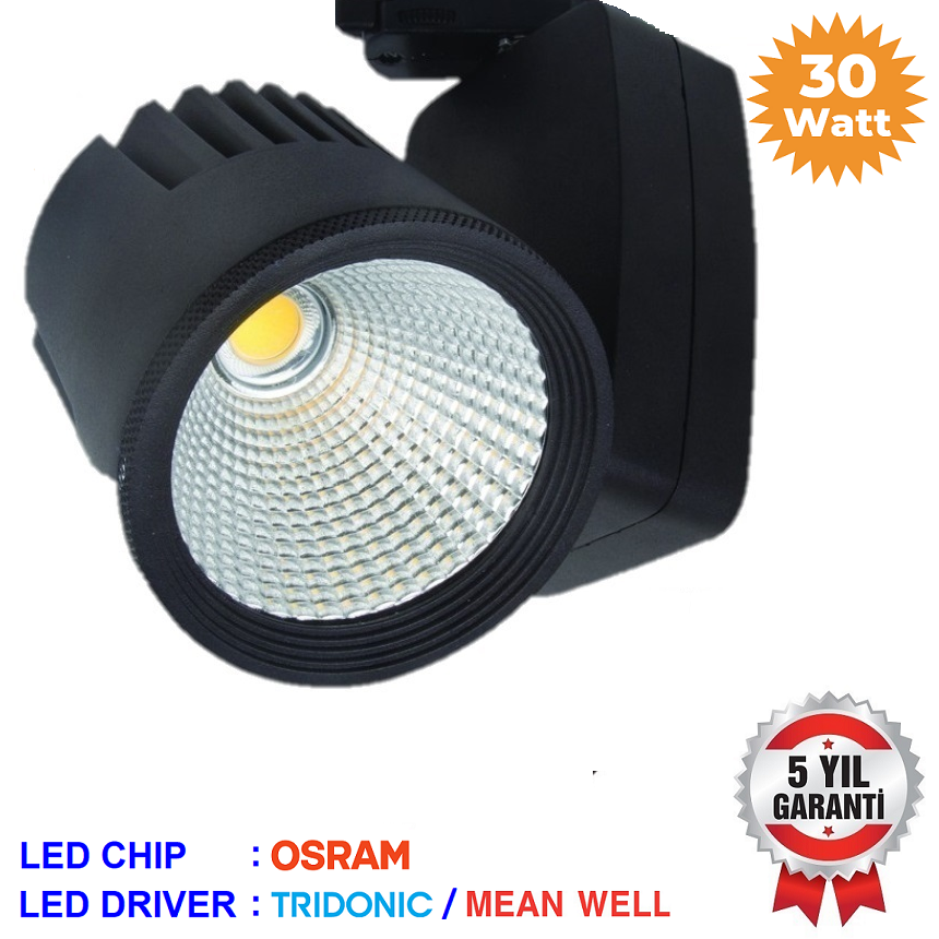 O30-VR 110A - 30 Watt OSRAM LED Ray Spot