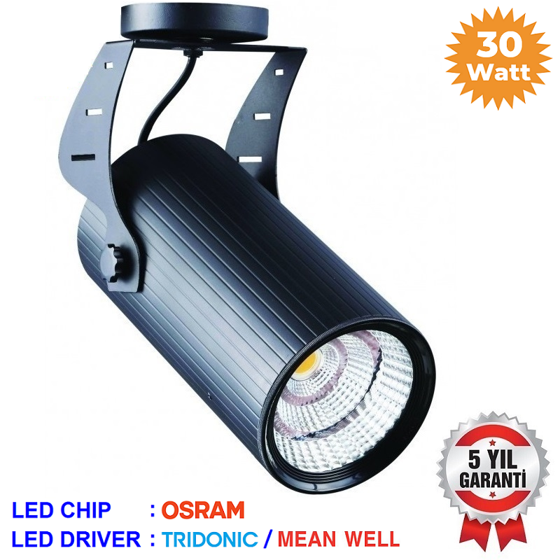 O30-VR 124 - 30 Watt OSRAM LED Ray Spot