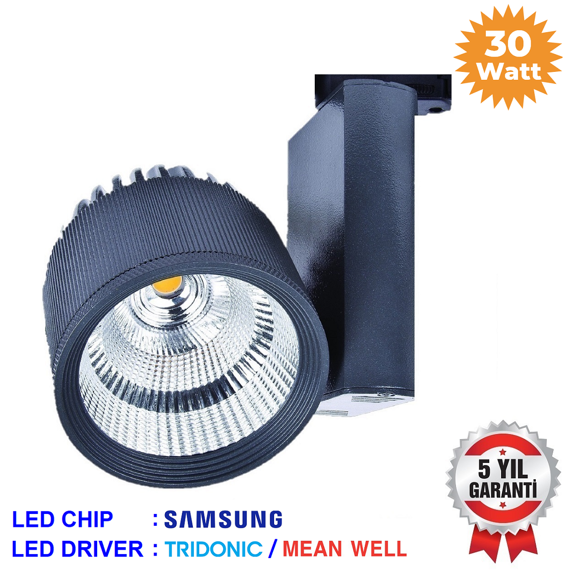 S30-VR 100 - 30 Watt SAMSUNG LED Ray Spot