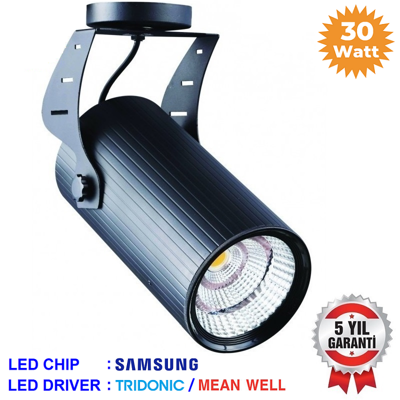 S30-VR 124 - 30 Watt SAMSUNG LED Ray Spot